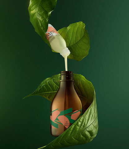 Kit de Loção Corporal Concentrada Ekos Castanha