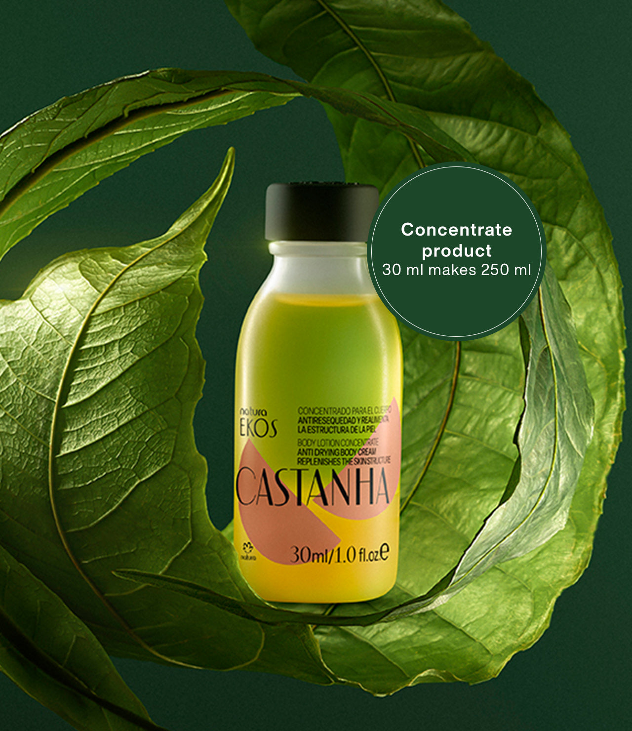 Recarga Concentrada de Loção Corporal Ekos Castanha