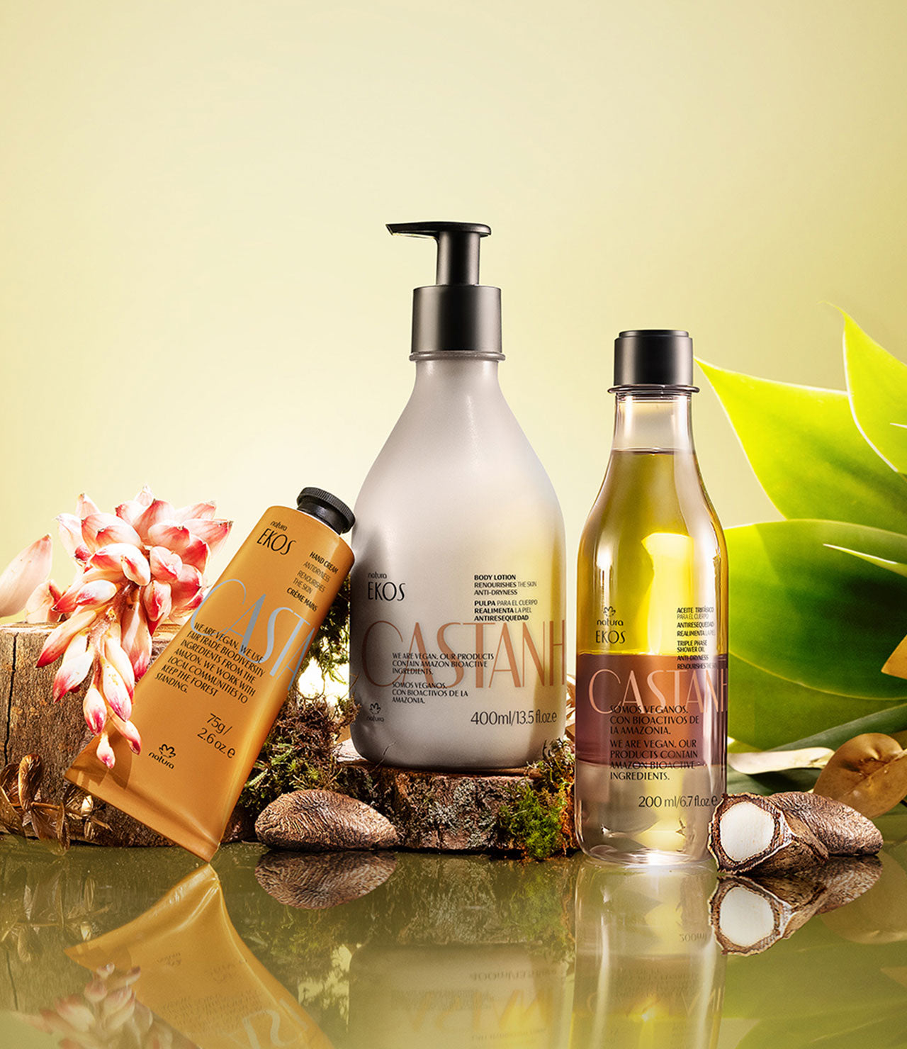 Castanha Brazil Nut Deep Nourishing Holiday Set